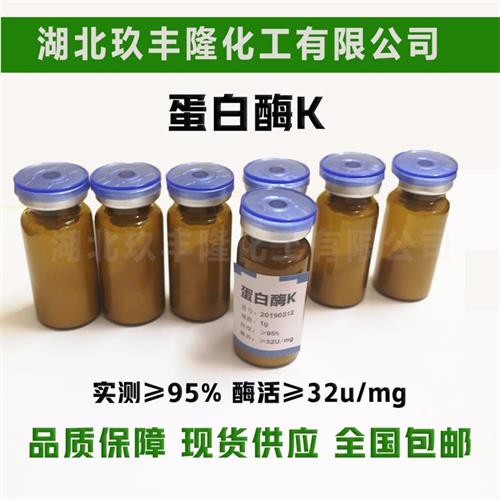 蛋白酶K活性的测定方法